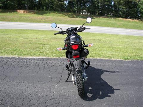 2024 Honda XR150L in Shelby, North Carolina - Photo 13