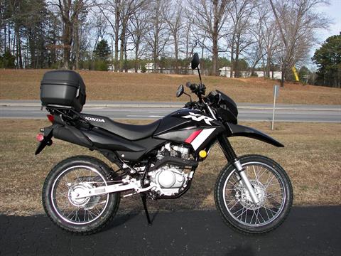 2024 Honda XR150L in Shelby, North Carolina - Photo 2