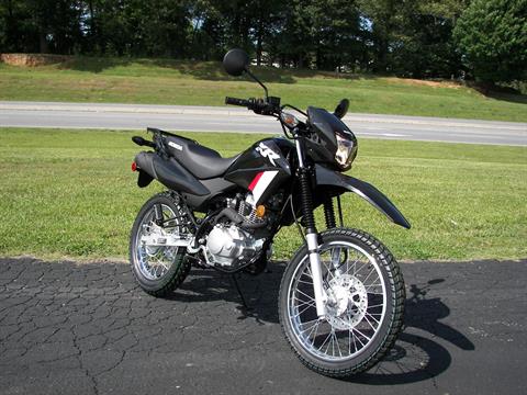 2024 Honda XR150L in Shelby, North Carolina - Photo 7