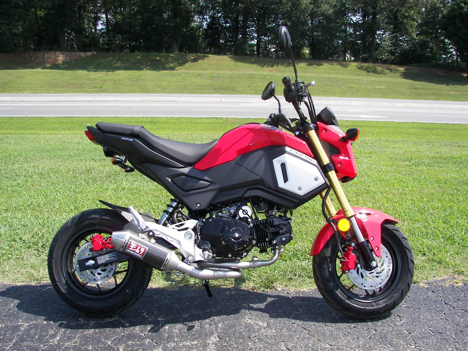 Honda Grom Weight Limit Bios Pics