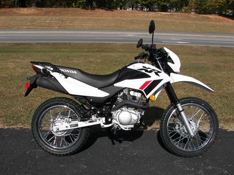 2023 Honda XR150L in Shelby, North Carolina - Photo 1