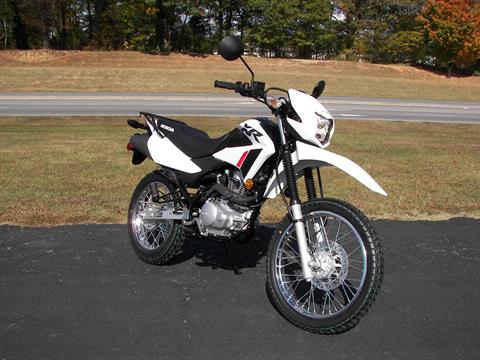 2023 Honda XR150L in Shelby, North Carolina - Photo 3