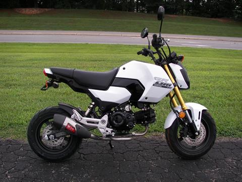 2025 Honda Grom in Shelby, North Carolina