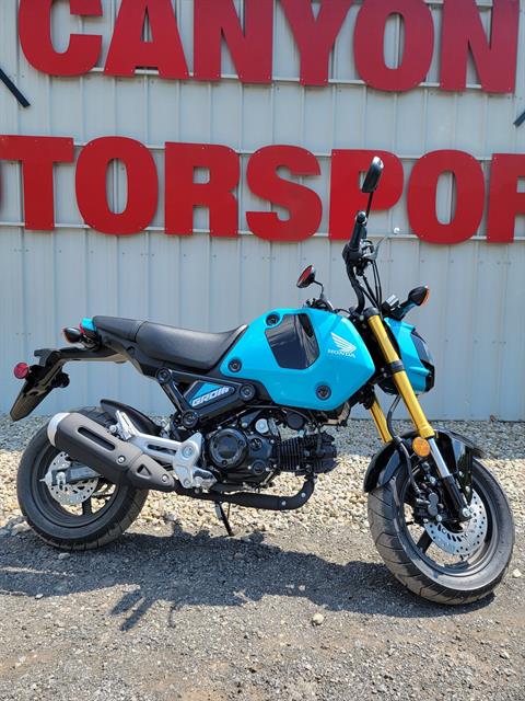 2024 Honda Grom in Gaines, Pennsylvania - Photo 1