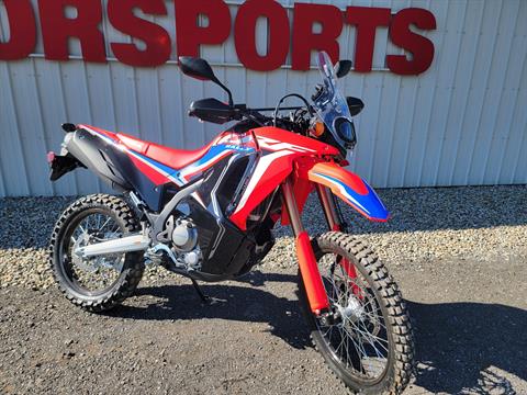 2024 Honda CRF300L Rally ABS in Gaines, Pennsylvania
