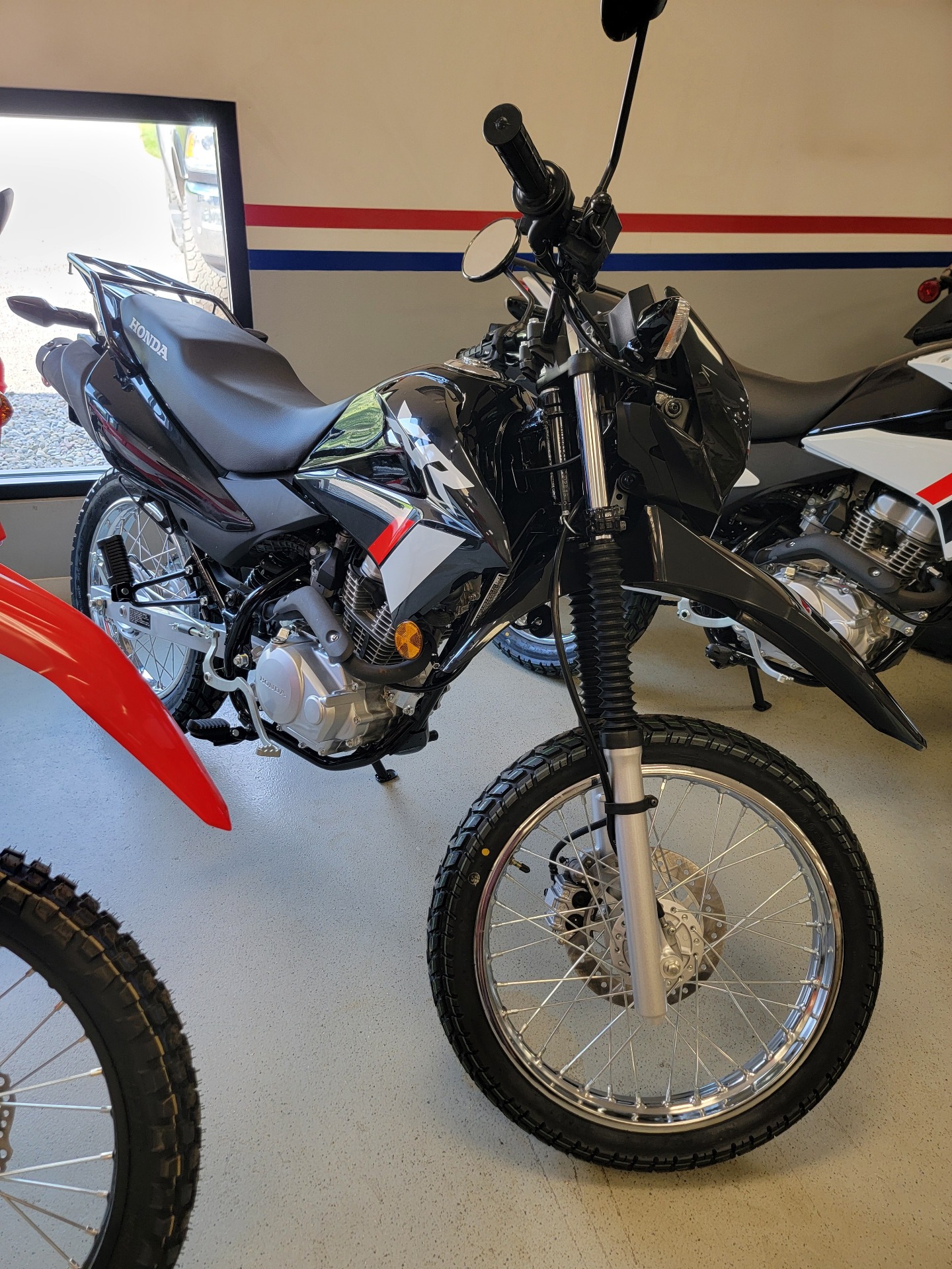 2024 Honda XR150L in Gaines, Pennsylvania