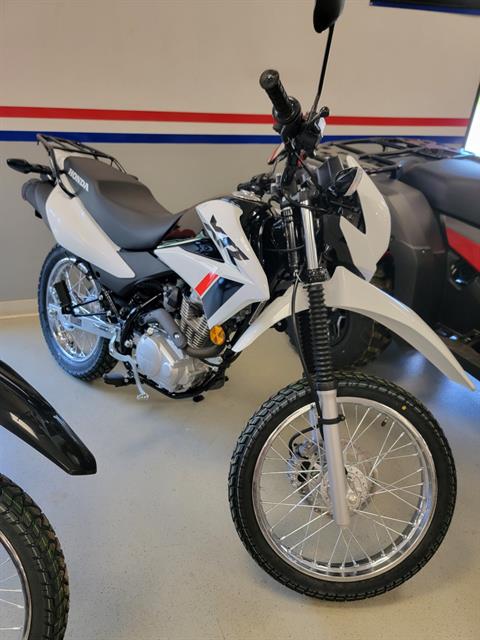 2024 Honda XR150L in Gaines, Pennsylvania