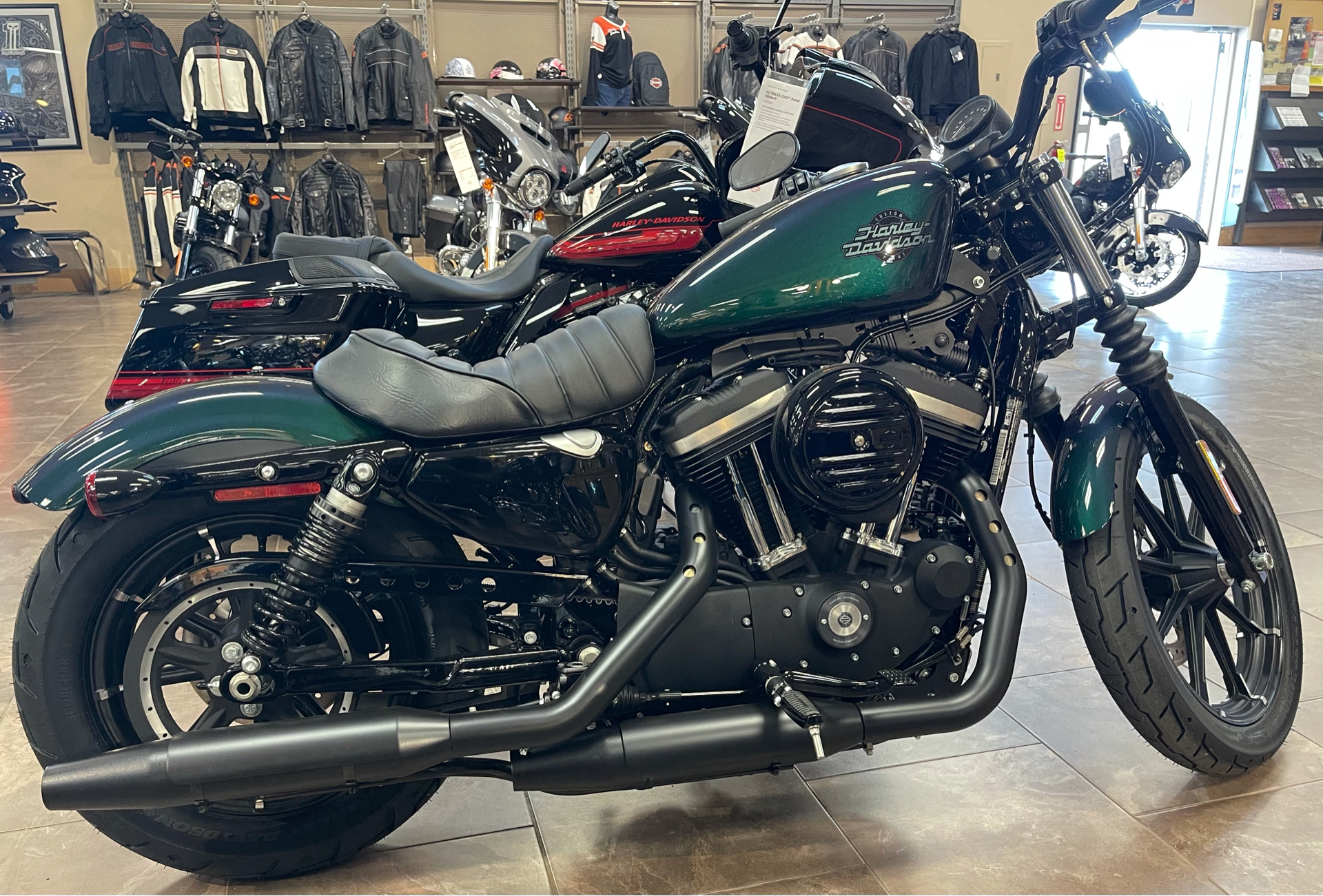 New 2021 Harley Davidson Iron 883 Motorcycles In Fort Ann Ny 411431 Snake Venom