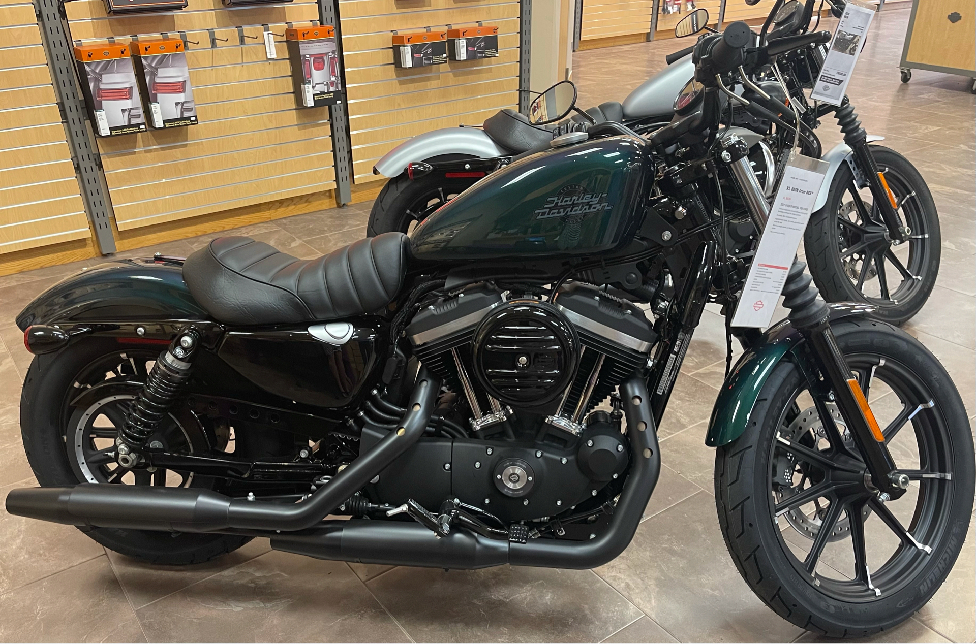 New 2021 Harley Davidson Iron 883 Motorcycles In Fort Ann Ny 412743 Snake Venom