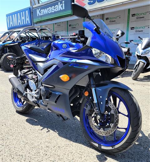 2023 Yamaha YZF-R3 ABS in Salinas, California - Photo 4