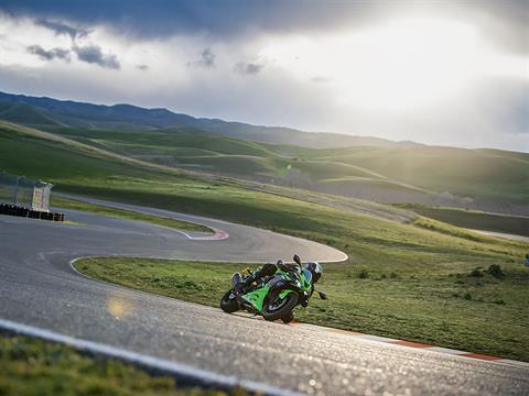 2024 Kawasaki Ninja ZX-6R KRT 40TH ANNIVERSARY EDITION ABS in Salinas, California - Photo 20