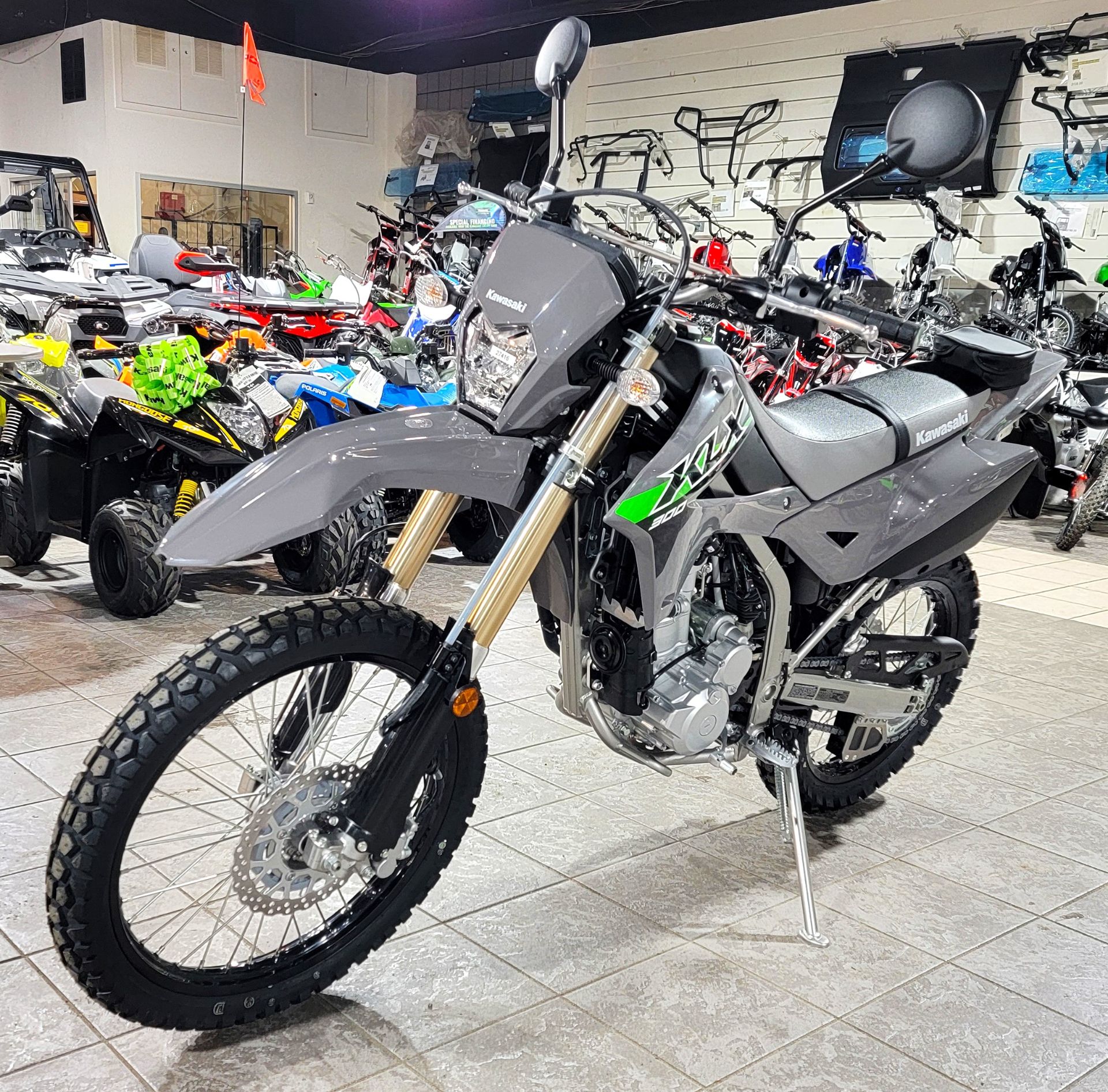 2024 Kawasaki KLX 300 in Salinas, California - Photo 6