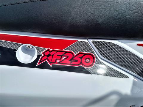 2022 SSR Motorsports XF250 Dual Sport in Salinas, California - Photo 9