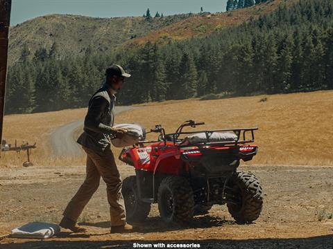 2024 CFMOTO CForce 400 4X4 EBS in Salinas, California - Photo 10