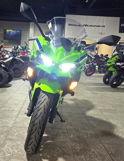 2024 Kawasaki Ninja 500 SE 40th Anniversary Edition ABS in Salinas, California - Photo 6