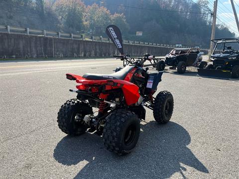 2024 Can-Am DS 250 in Pikeville, Kentucky - Photo 2