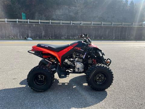 2024 Can-Am DS 250 in Pikeville, Kentucky - Photo 7