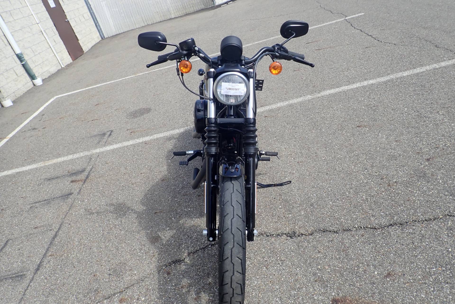 2019 Harley-Davidson Iron 883™ in Massillon, Ohio - Photo 12
