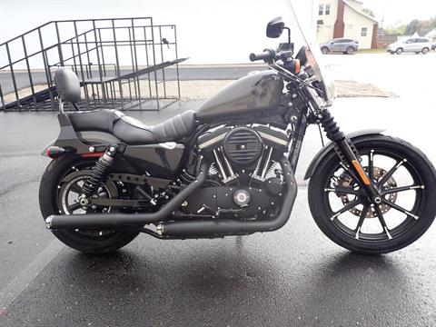 2019 Harley-Davidson Iron 883™ in Massillon, Ohio - Photo 1