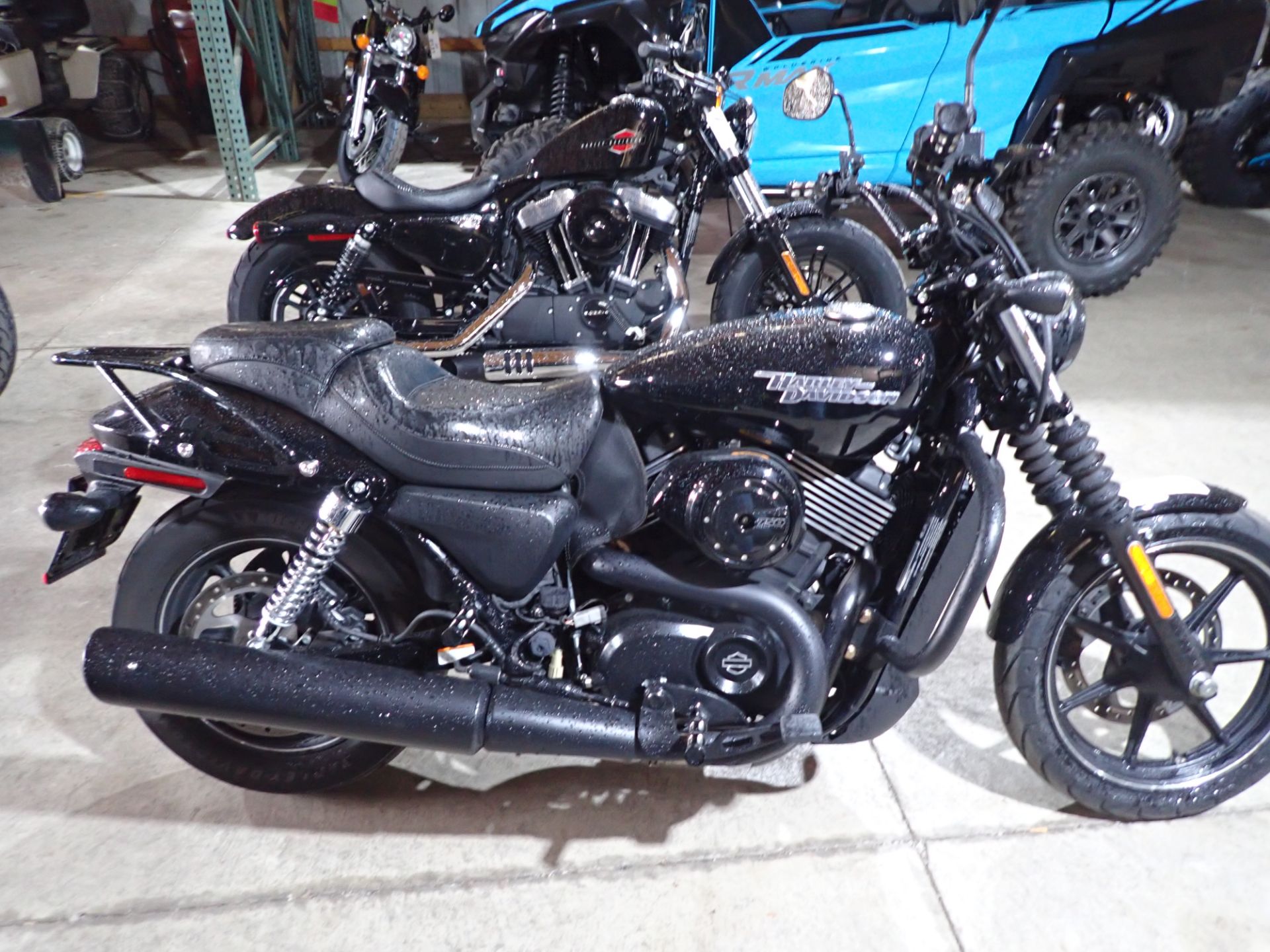 2020 Harley-Davidson Street® 750 in Massillon, Ohio - Photo 1