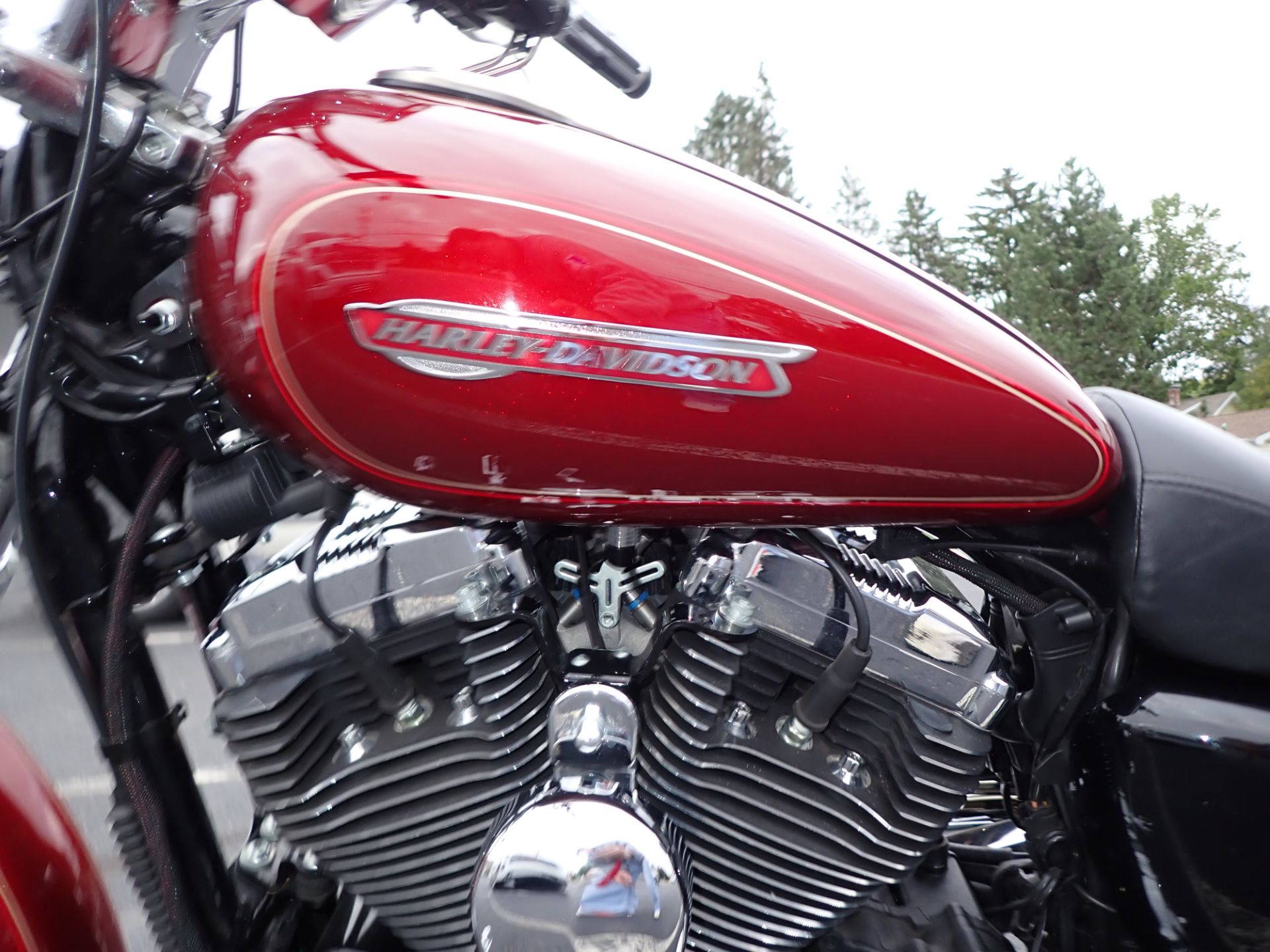 2009 Harley-Davidson Sportster® 1200 Custom in Massillon, Ohio - Photo 9