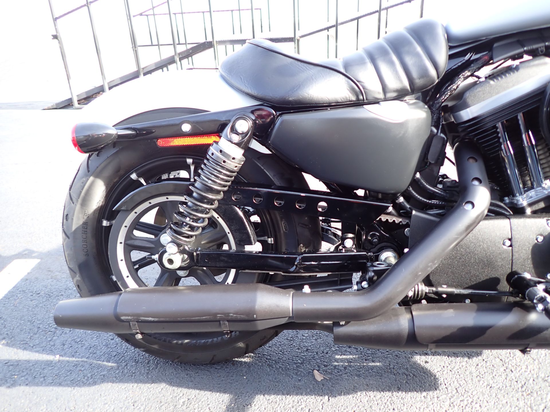 2020 Harley-Davidson Iron 883™ in Massillon, Ohio - Photo 5