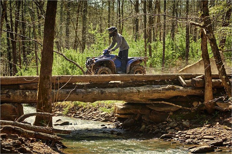 2019 Yamaha Kodiak 700 EPS SE in Saint Helen, Michigan - Photo 6