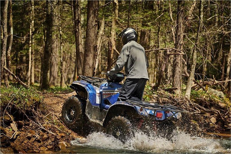 2019 Yamaha Kodiak 700 EPS SE in Saint Helen, Michigan - Photo 7