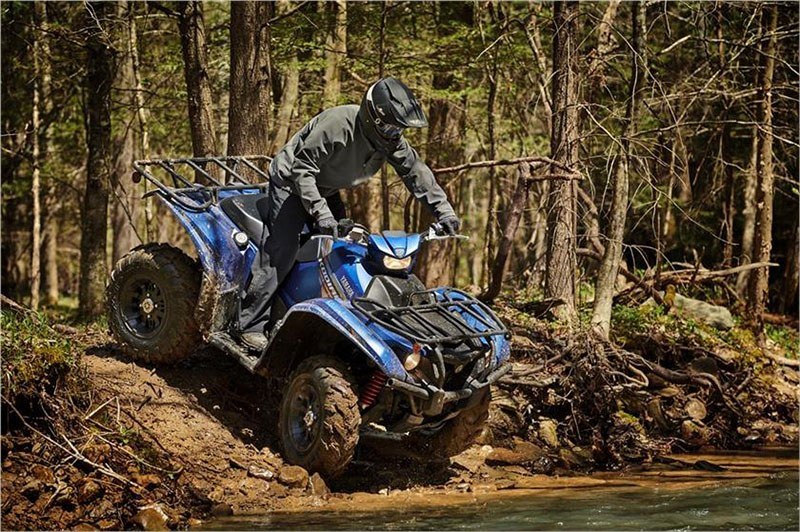 2019 Yamaha Kodiak 700 EPS SE in Saint Helen, Michigan - Photo 8