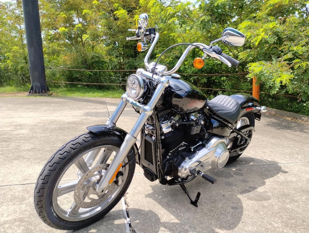 2023 Harley-Davidson Softail® Standard in Williamstown, West Virginia - Photo 6