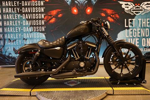 2016 Harley-Davidson Iron 883™ in Williamstown, West Virginia - Photo 1