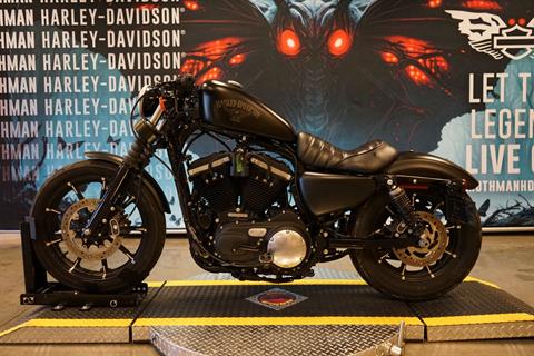 2016 Harley-Davidson Iron 883™ in Williamstown, West Virginia - Photo 5