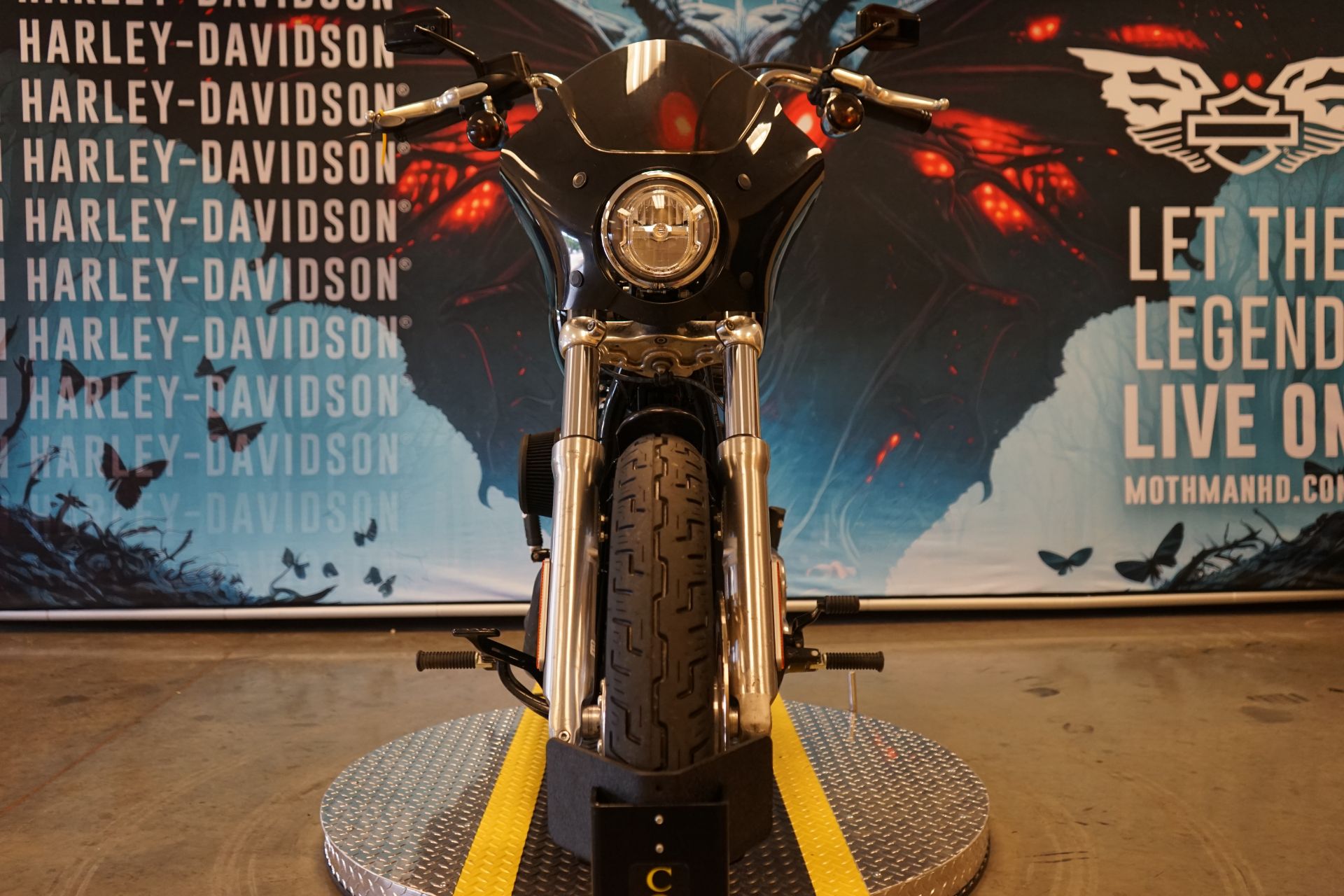 2020 Harley-Davidson Softail® Standard in Williamstown, West Virginia - Photo 3