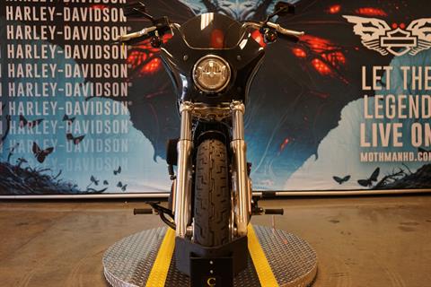 2020 Harley-Davidson Softail® Standard in Williamstown, West Virginia - Photo 3