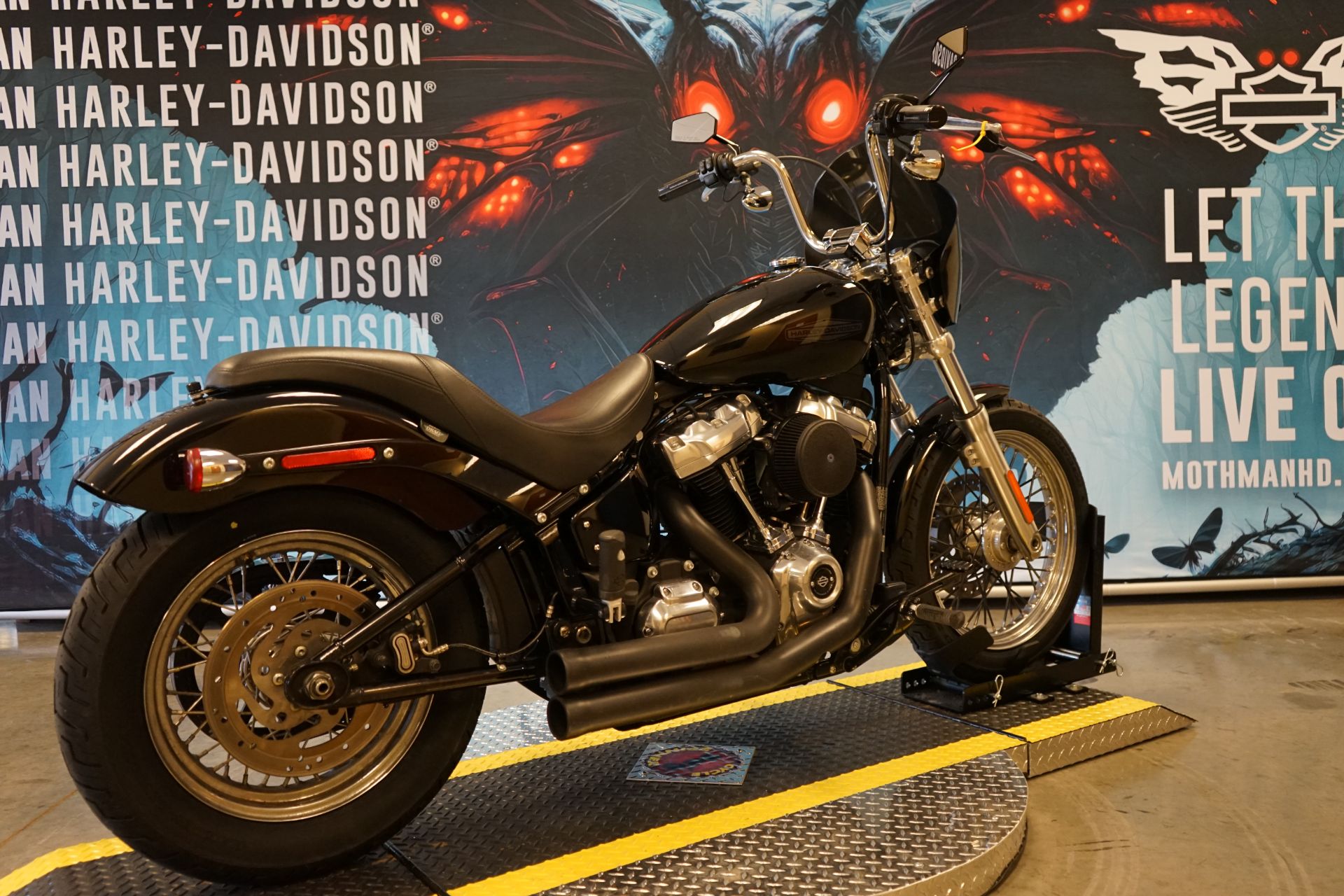 2020 Harley-Davidson Softail® Standard in Williamstown, West Virginia - Photo 8