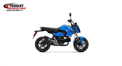 2025 Honda Grom in White Bear Lake, Minnesota