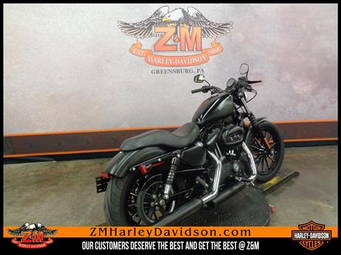 2015 Harley-Davidson Iron 883™ in Greensburg, Pennsylvania - Photo 3