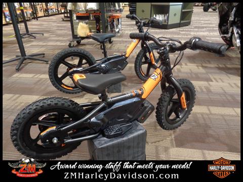 2020 Harley-Davidson Iron E12 in Greensburg, Pennsylvania - Photo 2