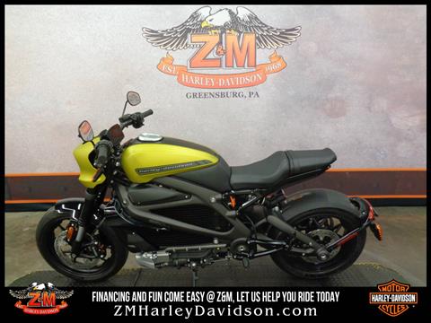 2020 Harley-Davidson Livewire™ in Greensburg, Pennsylvania - Photo 4