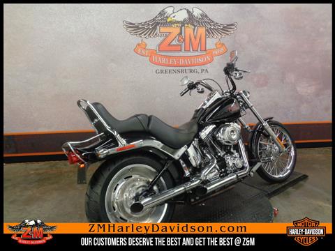 2007 Harley-Davidson Softail® Custom in Greensburg, Pennsylvania - Photo 3