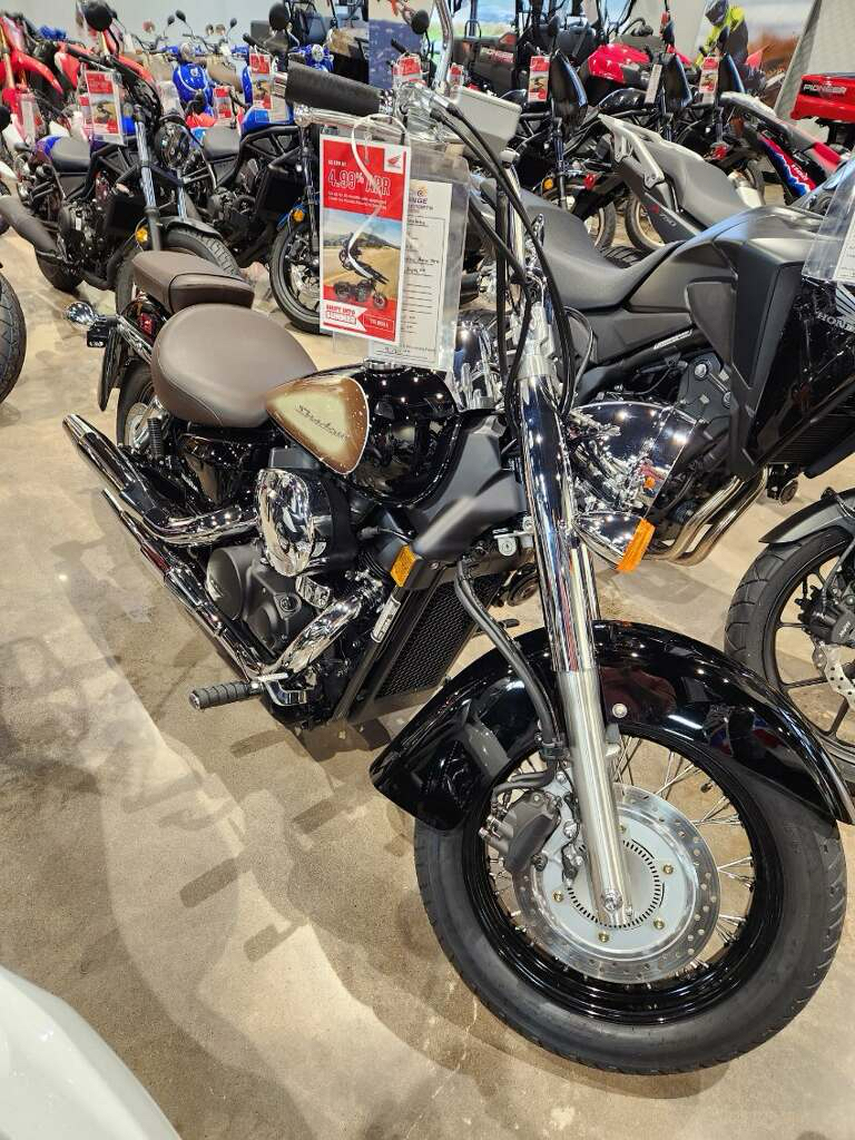 2024 Honda Shadow Aero ABS in Orange, Texas - Photo 1