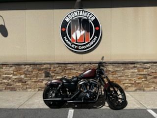 2017 Harley-Davidson Iron 883™ in Morgantown, West Virginia - Photo 1