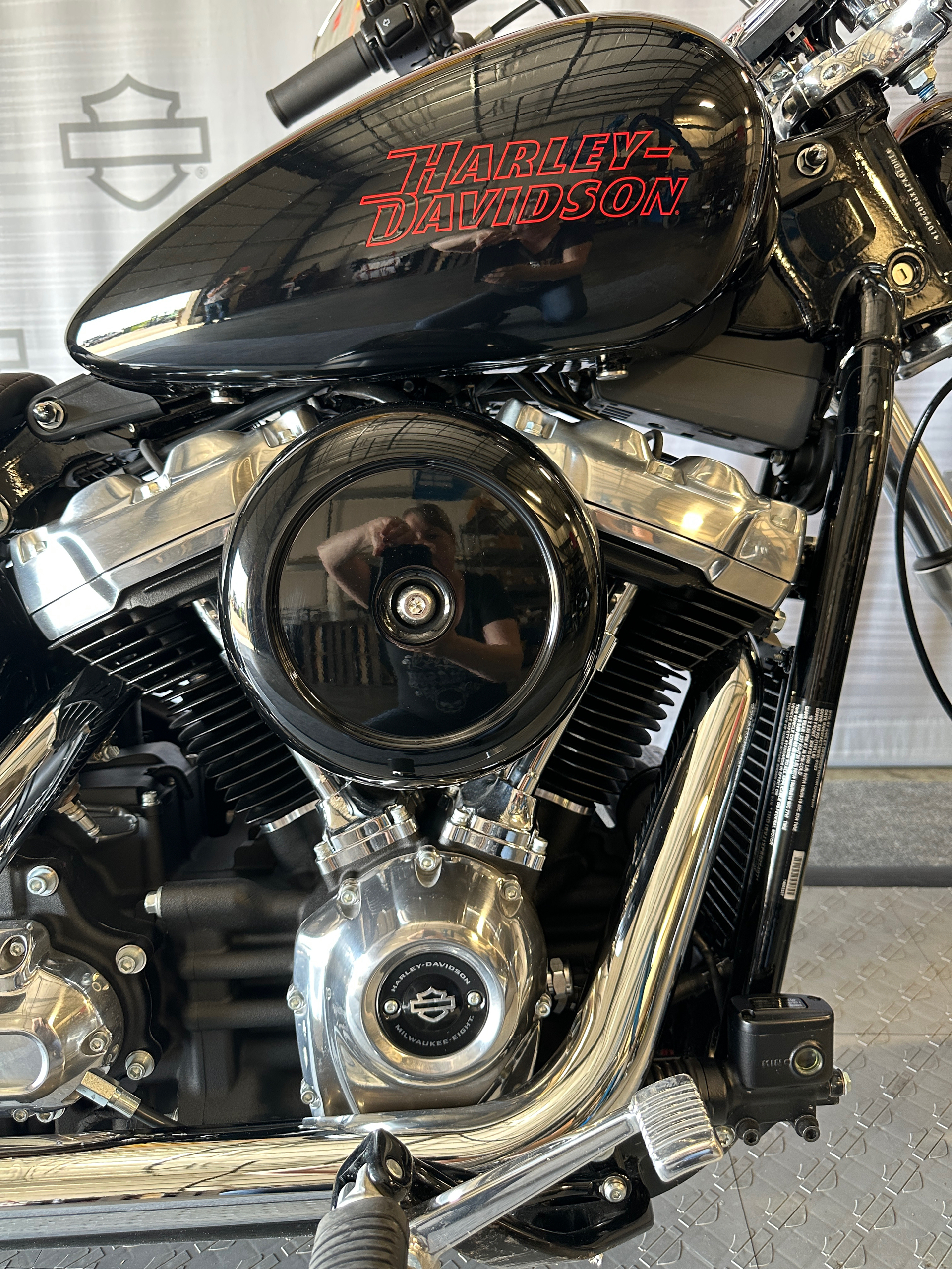 2023 Harley-Davidson Softail® Standard in Morgantown, West Virginia - Photo 3
