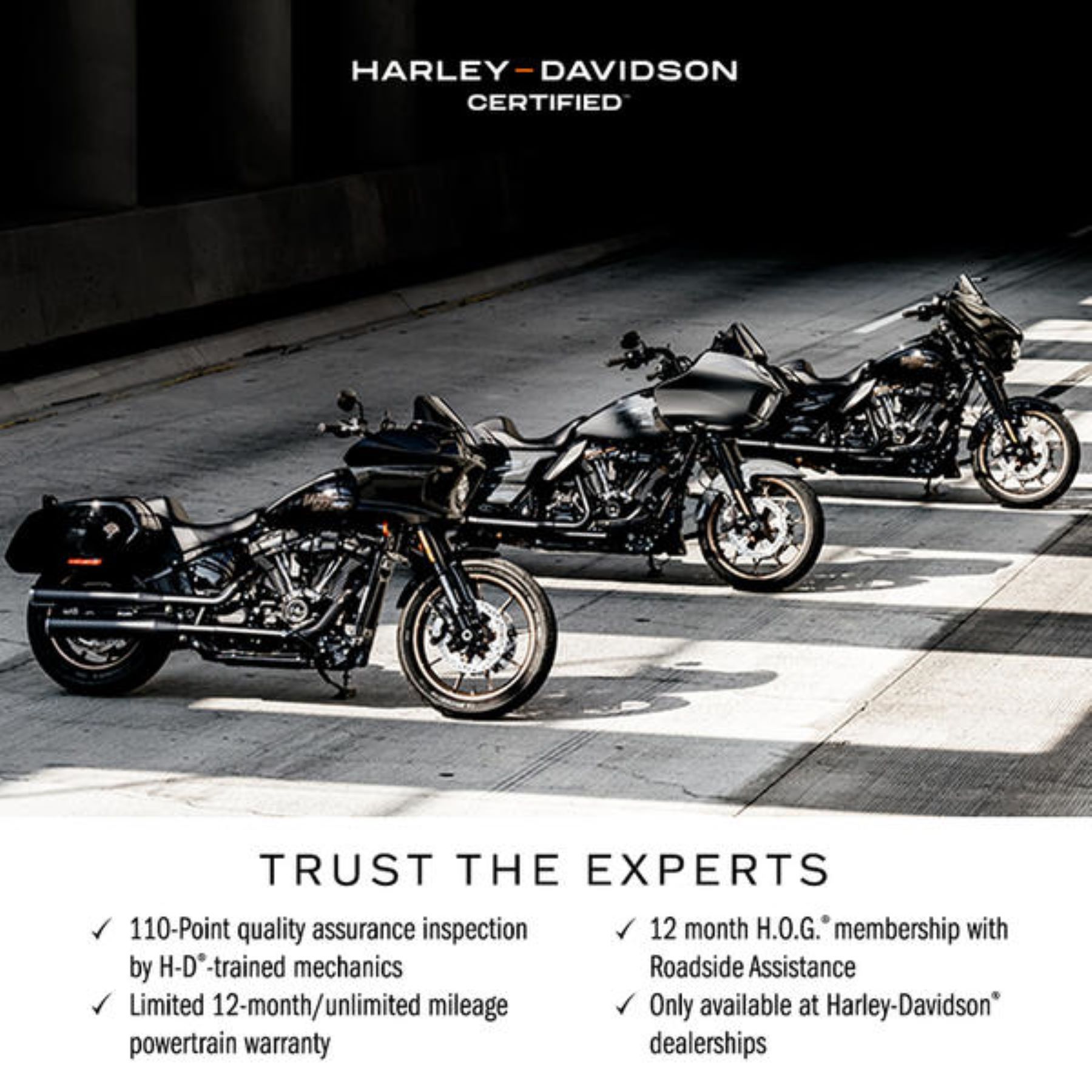 2023 Harley-Davidson Softail® Standard in Morgantown, West Virginia - Photo 20