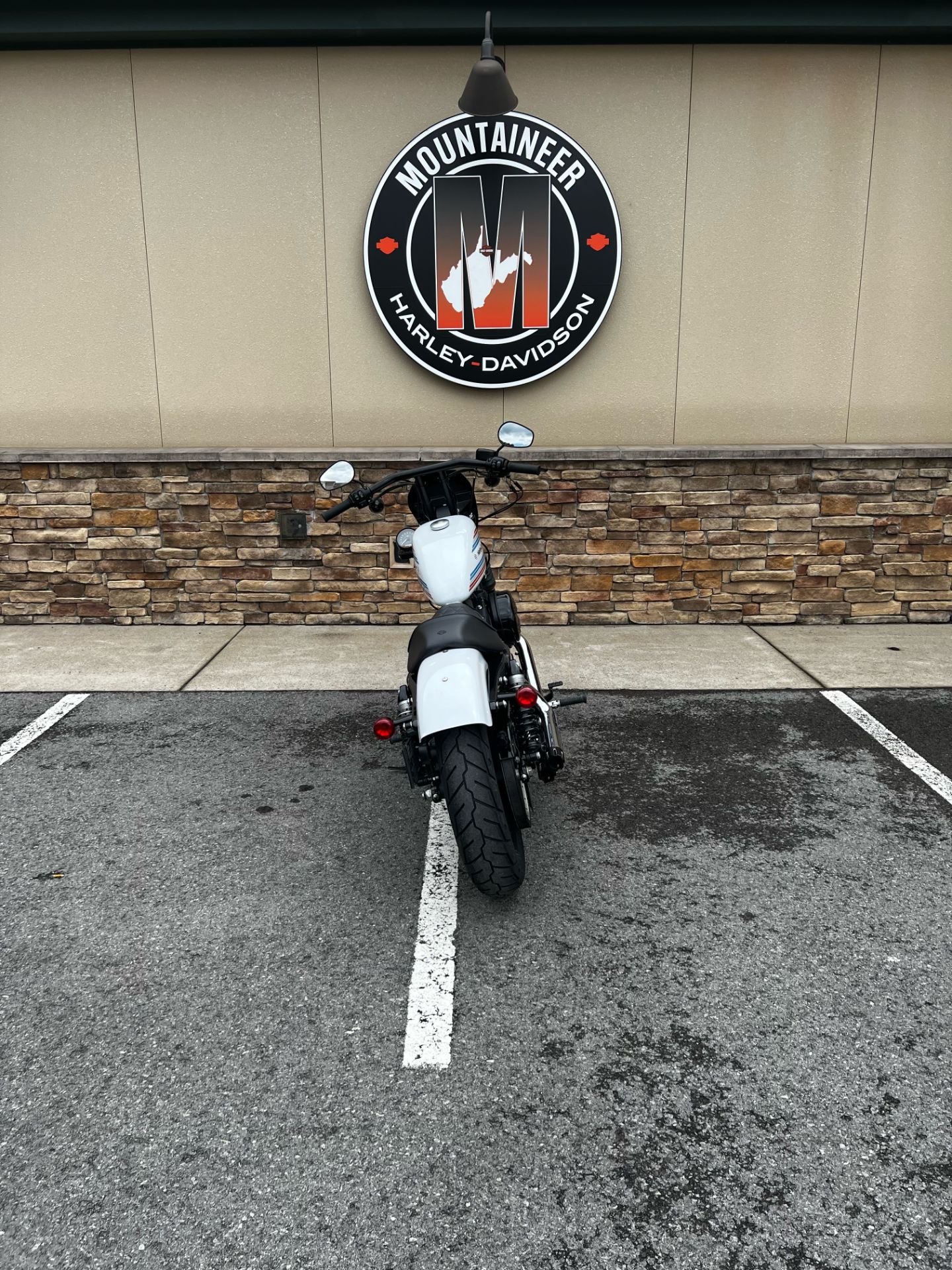 2021 Harley-Davidson Iron 1200™ in Morgantown, West Virginia - Photo 4