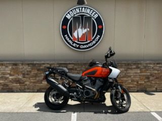 2021 Harley-Davidson Pan America™ Special in Morgantown, West Virginia - Photo 1