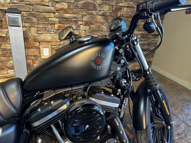 2021 Harley-Davidson Iron 883™ in Morgantown, West Virginia - Photo 2