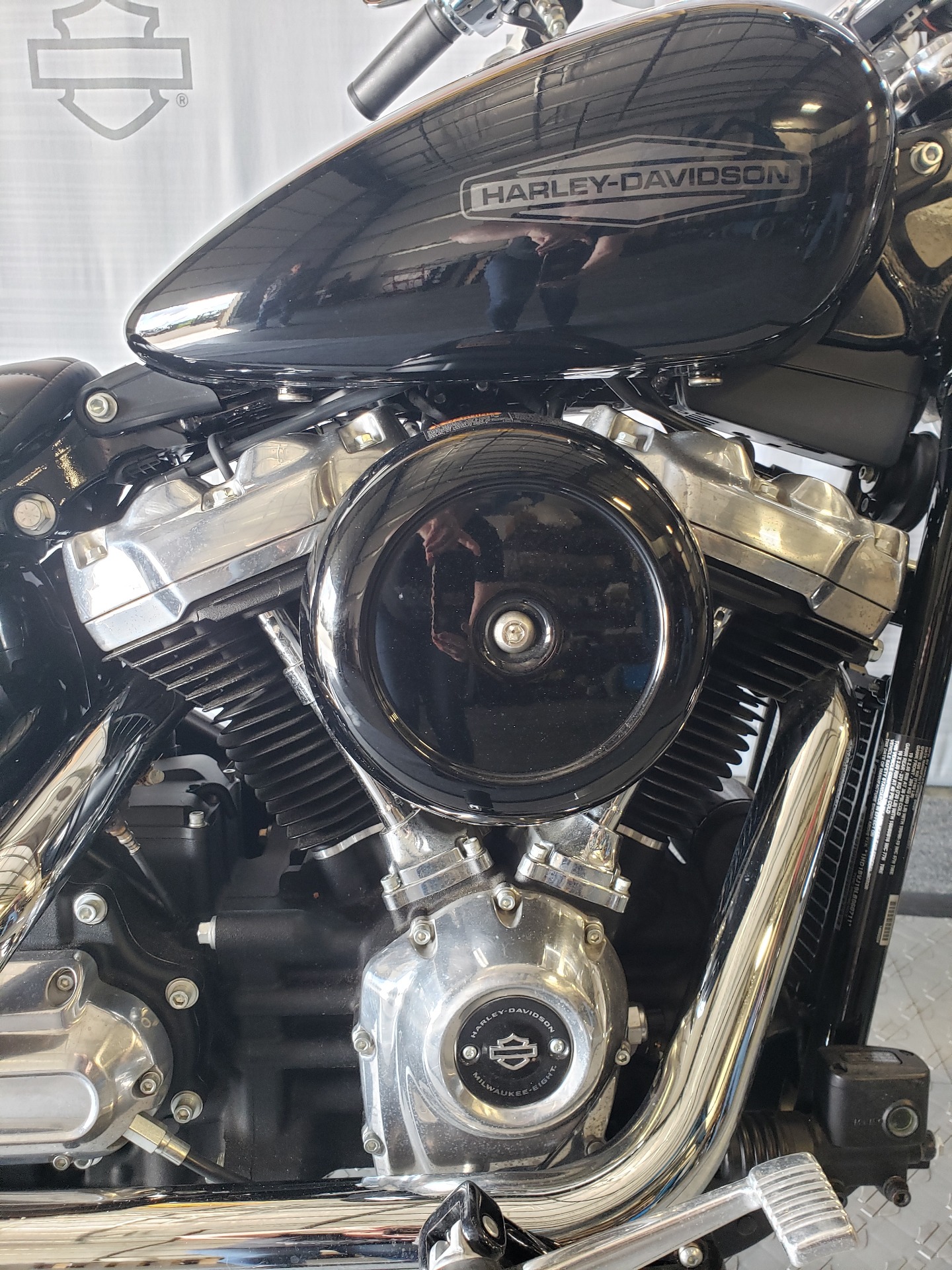 2020 Harley-Davidson Softail® Standard in Morgantown, West Virginia - Photo 3