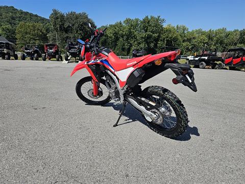 2023 Honda CRF300L in Pikeville, Kentucky - Photo 4