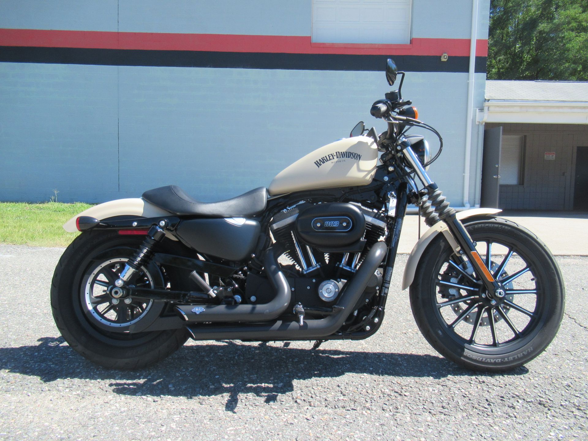 2014 Harley-Davidson Sportster® Iron 883™ in Springfield, Massachusetts - Photo 1